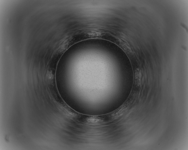 X0000091700614200708311055