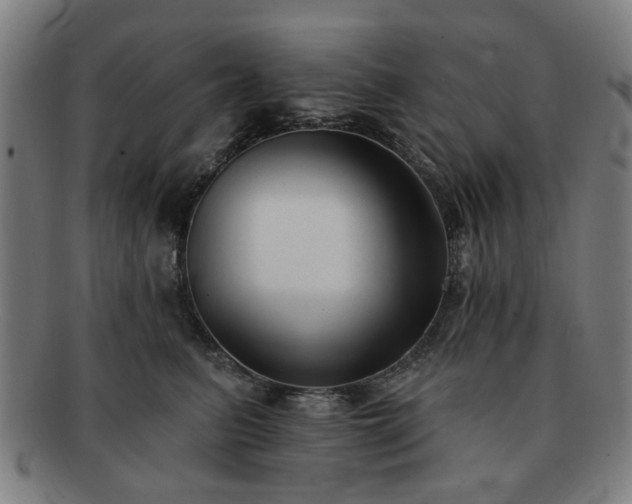 X0000091700615200708311055