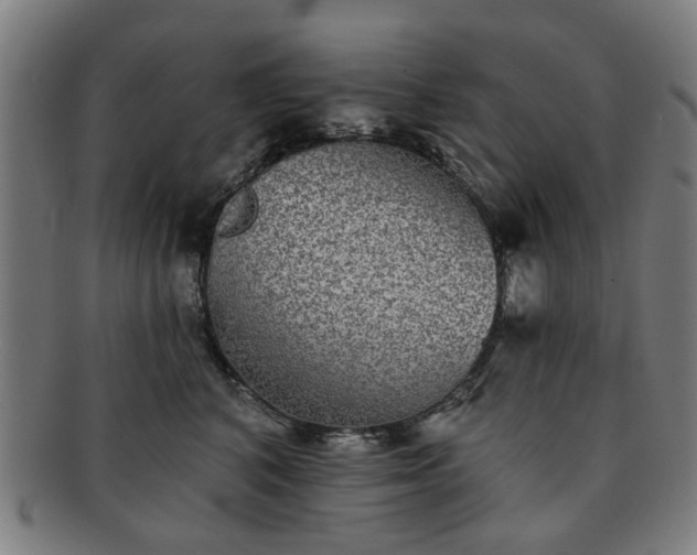X0000091700616200708311055