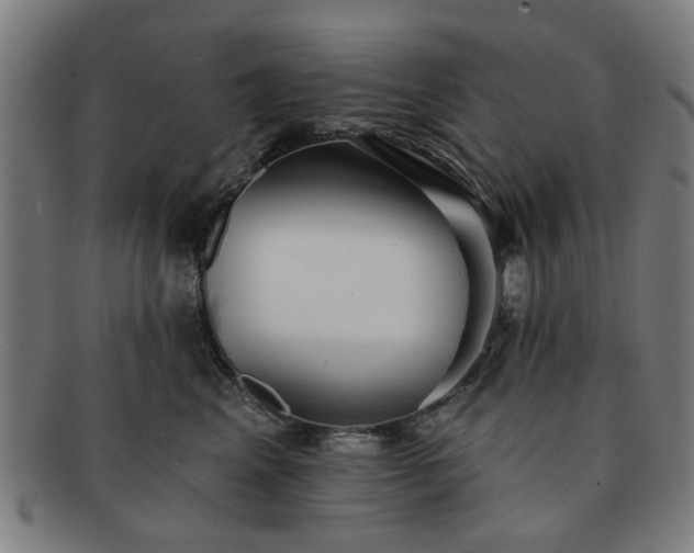 X0000091700617200708311055