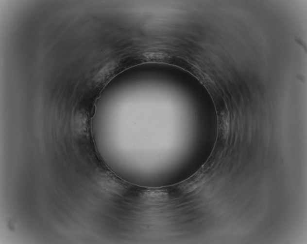 X0000091700619200708311055