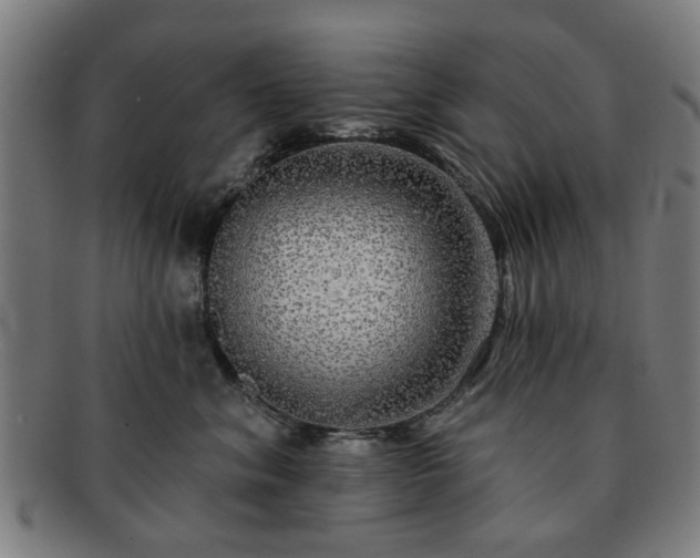 X0000091700620200708311055