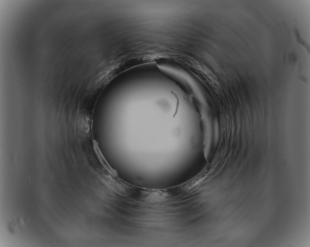 X0000091700621200708311055