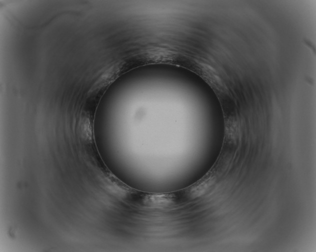 X0000091700622200708311055
