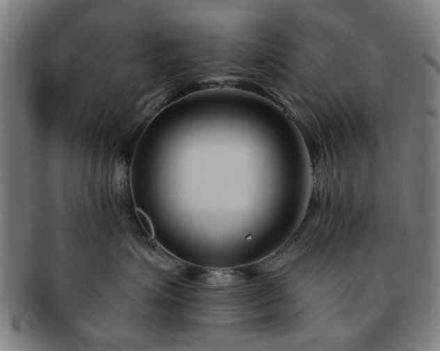 X0000091700623200708311055