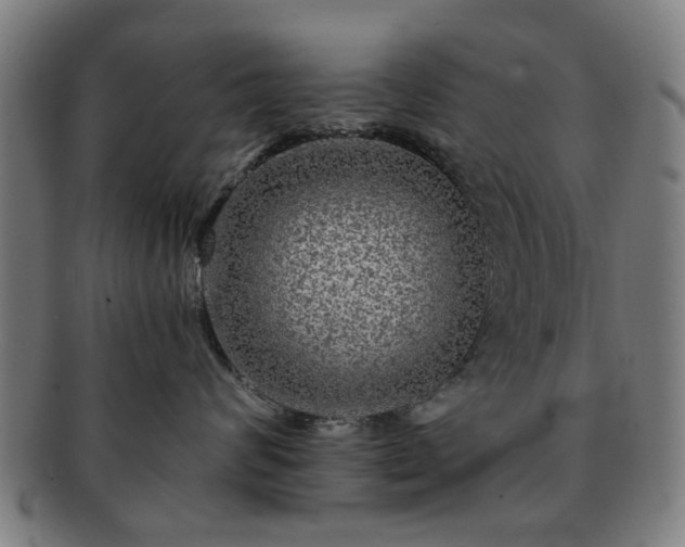 X0000091700624200708311055