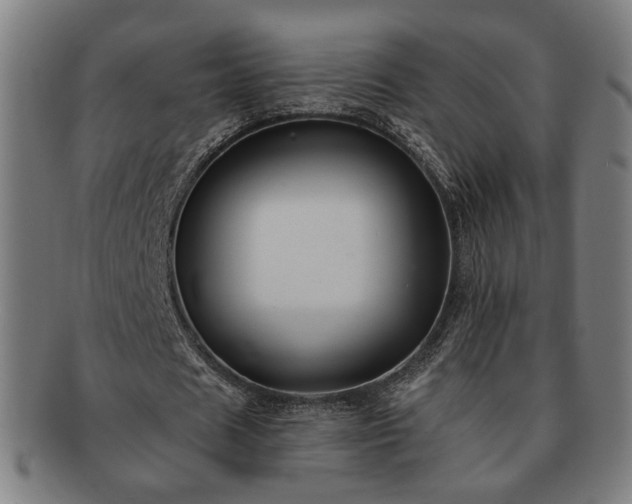 X0000091700625200708311054
