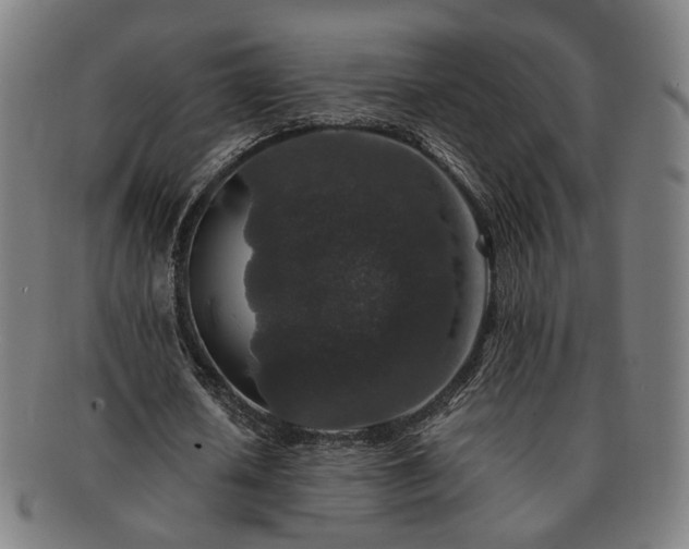 X0000091700626200708311054