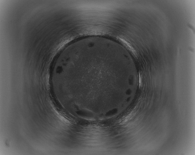 X0000091700627200708311054
