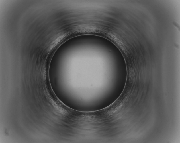 X0000091700629200708311054