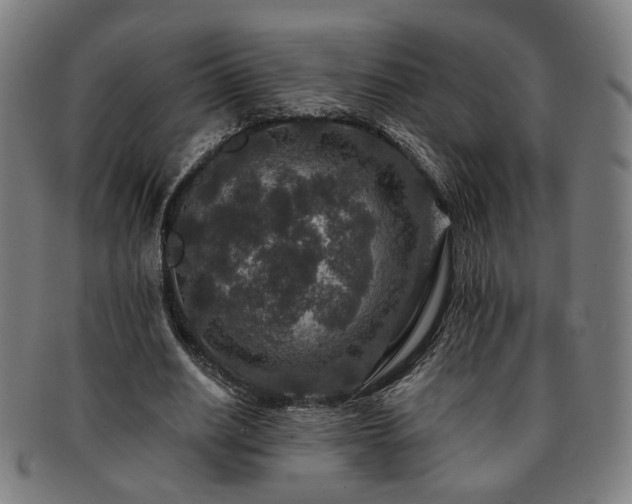 X0000091700630200708311054