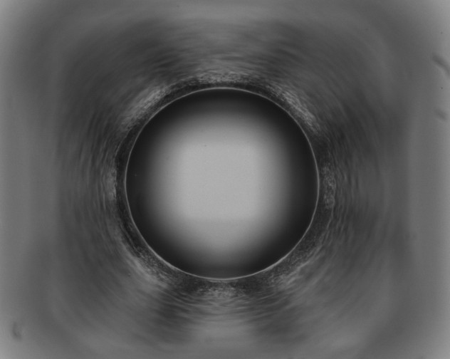X0000091700631200708311054