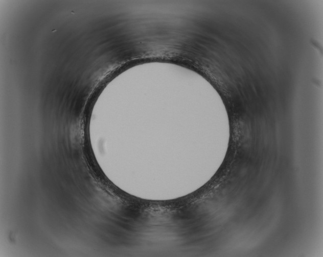 X0000091700632200708311054