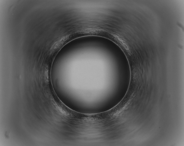 X0000091700633200708311054