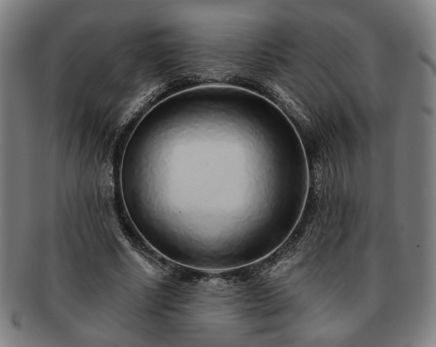 X0000091700634200708311054