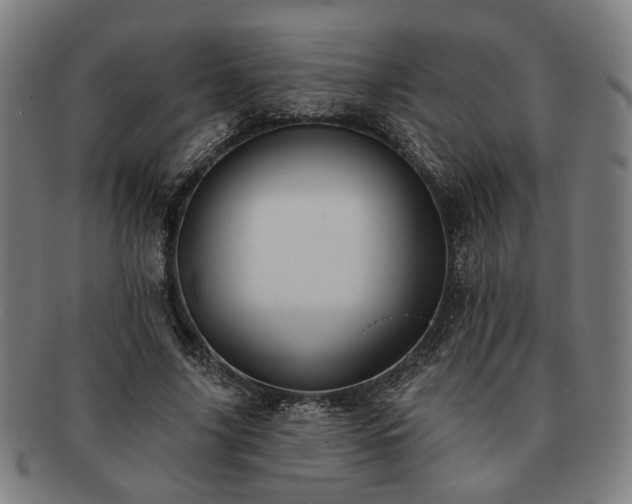 X0000091700635200708311054