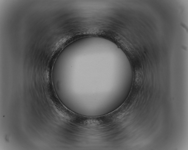 X0000091700636200708311054