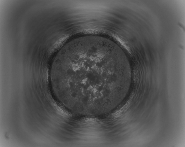X0000091700637200708311054