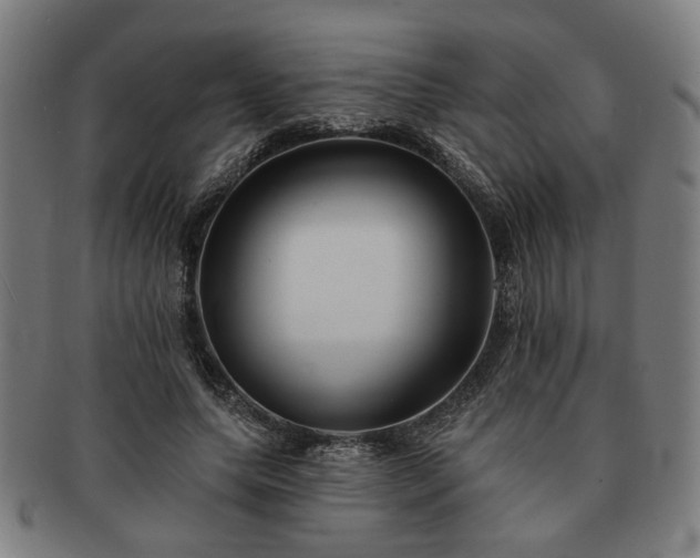 X0000091700639200708311054