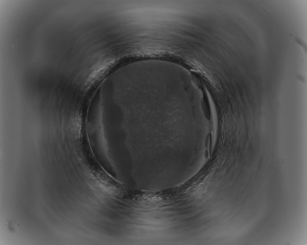X0000091700640200708311054