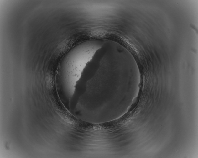 X0000091700641200708311054