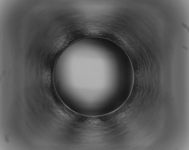 X0000091700642200708311054
