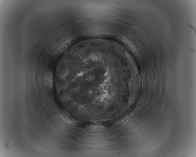 X0000091700644200708311054