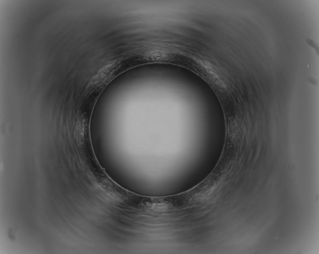 X0000091700645200708311054