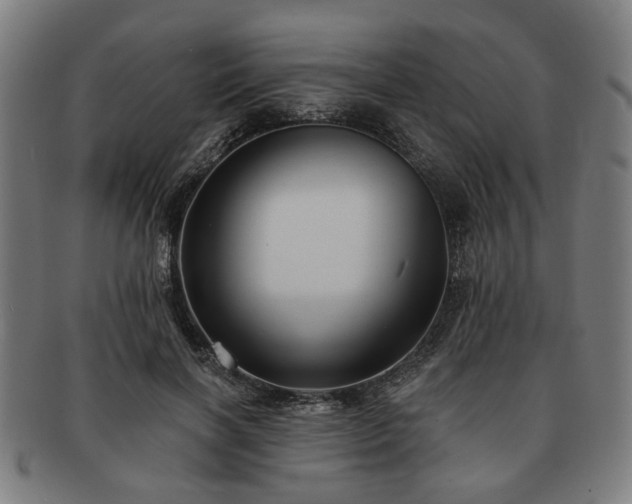 X0000091700646200708311054