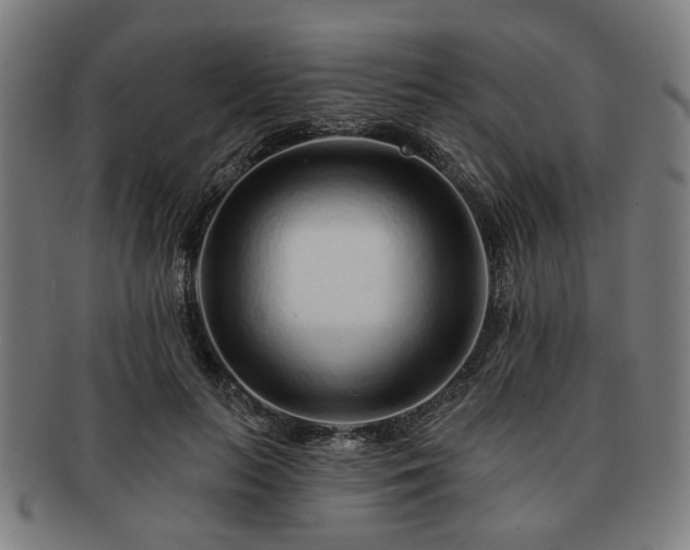 X0000091700647200708311054