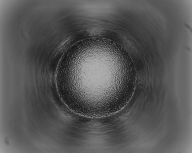 X0000091700648200708311054