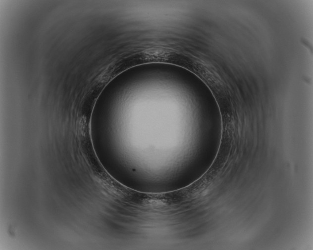 X0000091700649200708311054