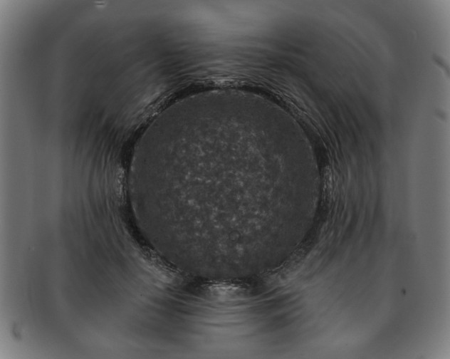 X0000091700650200708311054