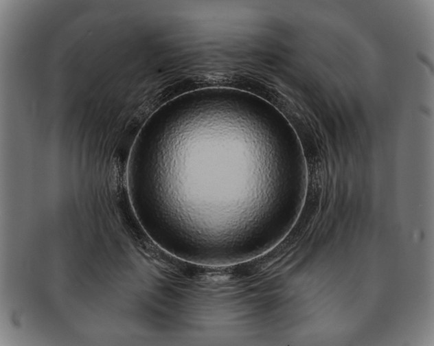 X0000091700651200708311054