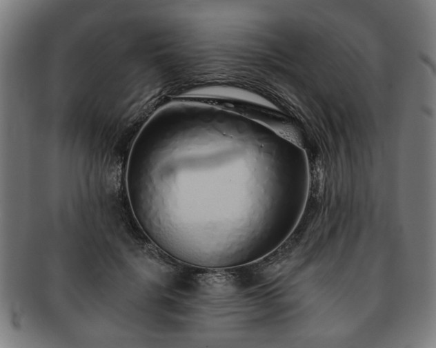 X0000091700652200708311054