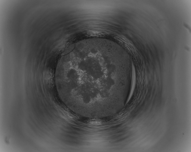 X0000091700653200708311054