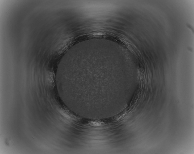 X0000091700654200708311054