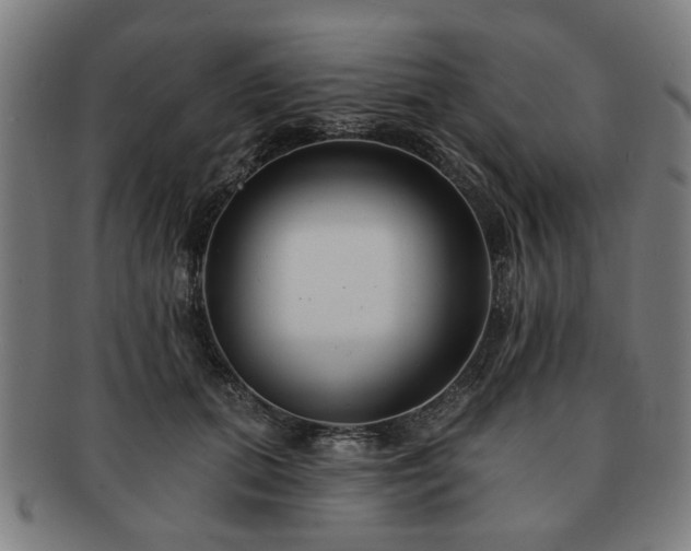 X0000091700655200708311054