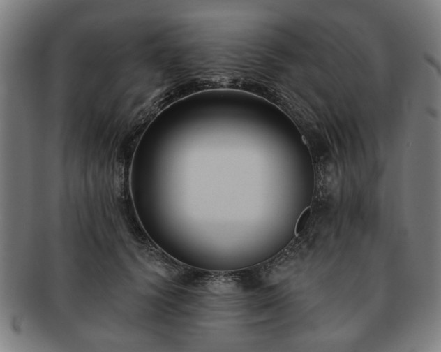 X0000091700656200708311054