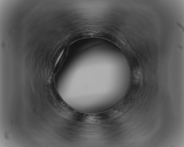 X0000091700657200708311054