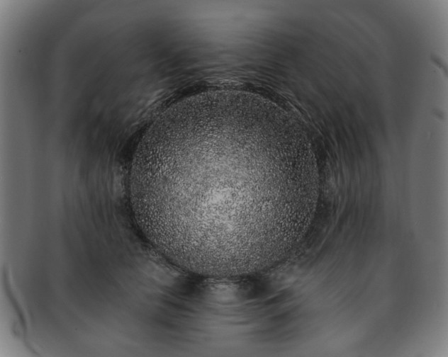 X0000091700658200708311054
