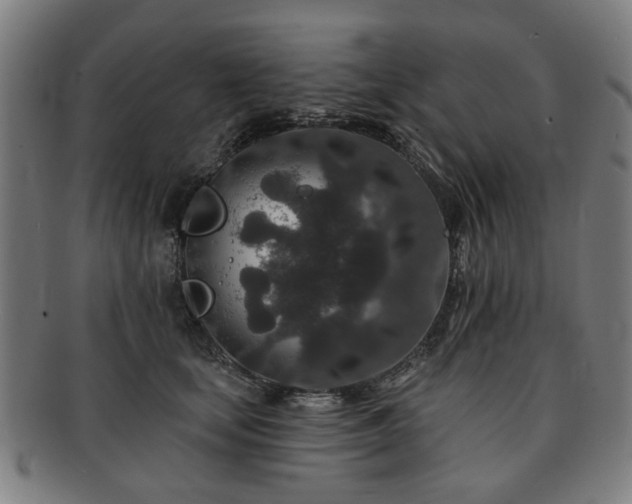 X0000091700659200708311054