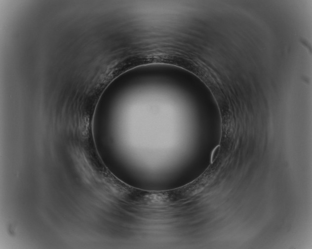 X0000091700660200708311054