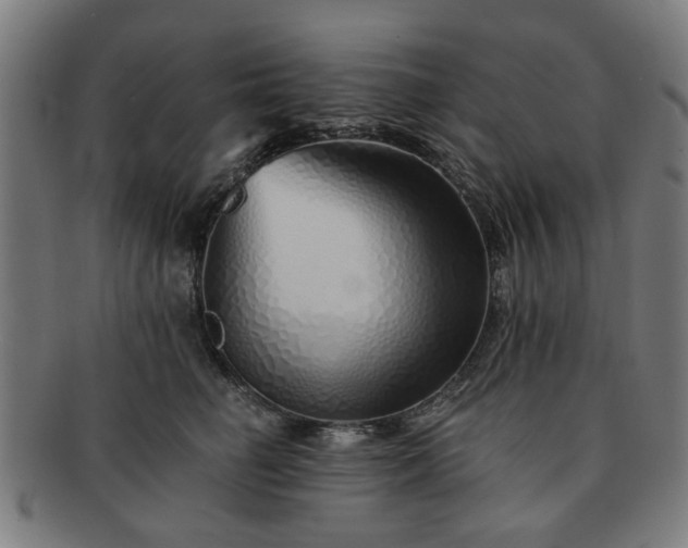 X0000091700662200708311054