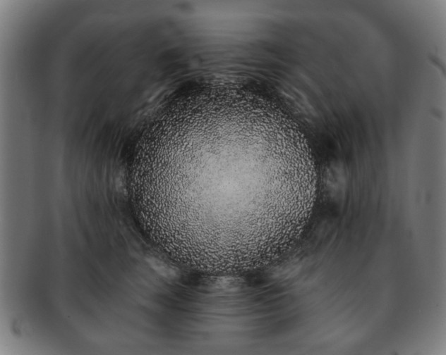 X0000091700663200708311054