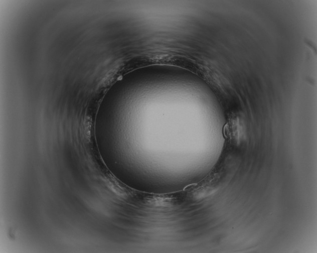 X0000091700664200708311054