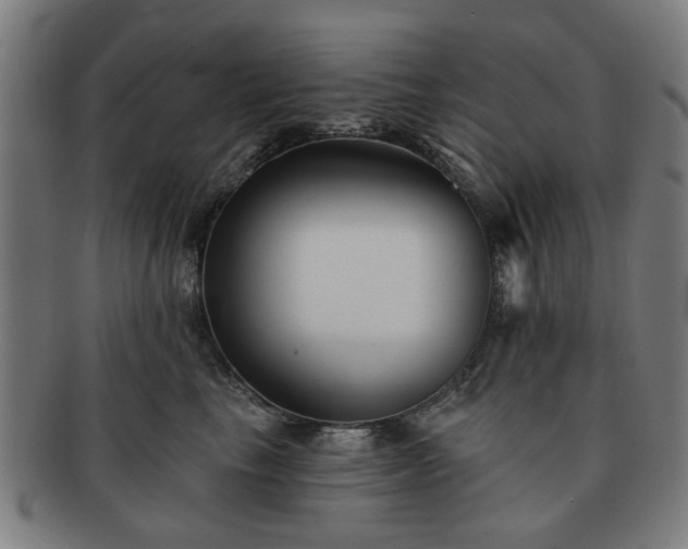 X0000091700665200708311054