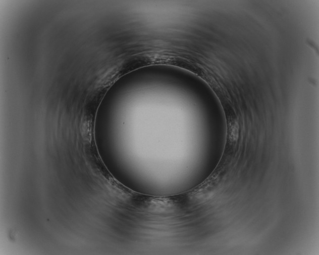 X0000091700666200708311054