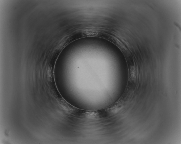 X0000091700667200708311054