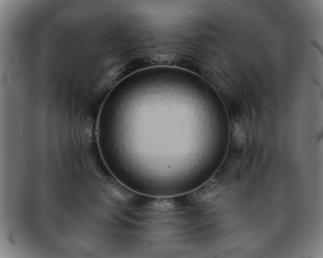 X0000091700668200708311054